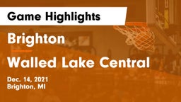 Brighton  vs Walled Lake Central  Game Highlights - Dec. 14, 2021