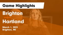 Brighton  vs Hartland  Game Highlights - March 1, 2023