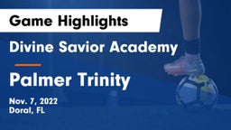 Divine Savior Academy vs Palmer Trinity  Game Highlights - Nov. 7, 2022