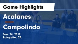 Acalanes  vs Campolindo  Game Highlights - Jan. 24, 2019