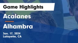 Acalanes  vs Alhambra  Game Highlights - Jan. 17, 2024