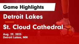 Detroit Lakes  vs St. Cloud Cathedral  Game Highlights - Aug. 29, 2023