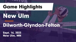 New Ulm  vs Dilworth-Glyndon-Felton  Game Highlights - Sept. 16, 2023