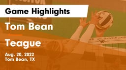 Tom Bean  vs Teague  Game Highlights - Aug. 20, 2022
