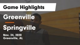 Greenville  vs Springville  Game Highlights - Nov. 24, 2020