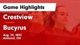 Crestview  vs Bucyrus  Game Highlights - Aug. 25, 2022