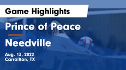 Prince of Peace  vs Needville Game Highlights - Aug. 13, 2022