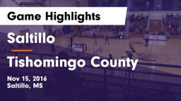 Saltillo  vs Tishomingo County  Game Highlights - Nov 15, 2016