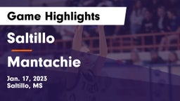 Saltillo  vs Mantachie  Game Highlights - Jan. 17, 2023