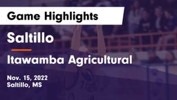 Saltillo  vs Itawamba Agricultural  Game Highlights - Nov. 15, 2022