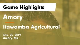 Amory  vs Itawamba Agricultural  Game Highlights - Jan. 25, 2019