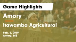 Amory  vs Itawamba Agricultural  Game Highlights - Feb. 5, 2019