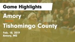 Amory  vs Tishomingo County  Game Highlights - Feb. 18, 2019