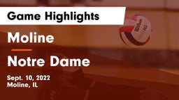 Moline  vs Notre Dame  Game Highlights - Sept. 10, 2022