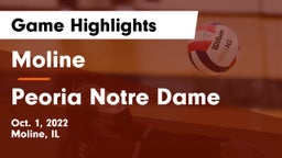 Moline  vs Peoria Notre Dame  Game Highlights - Oct. 1, 2022