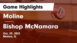 Moline  vs Bishop McNamara  Game Highlights - Oct. 29, 2022