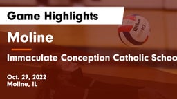 Moline  vs Immaculate Conception Catholic School Game Highlights - Oct. 29, 2022