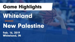 Whiteland  vs New Palestine  Game Highlights - Feb. 16, 2019