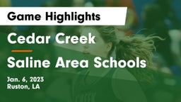 Cedar Creek  vs Saline Area Schools Game Highlights - Jan. 6, 2023