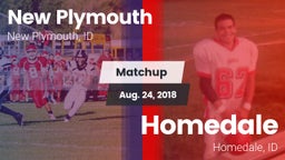 Matchup: New Plymouth High Sc vs. Homedale  2018