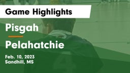 Pisgah  vs Pelahatchie  Game Highlights - Feb. 10, 2023