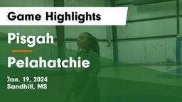 Pisgah  vs Pelahatchie  Game Highlights - Jan. 19, 2024