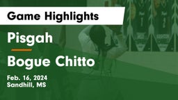 Pisgah  vs Bogue Chitto  Game Highlights - Feb. 16, 2024