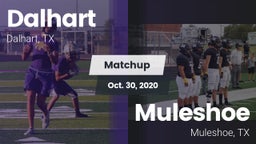 Matchup: Dalhart  vs. Muleshoe  2020