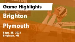 Brighton  vs Plymouth  Game Highlights - Sept. 25, 2021