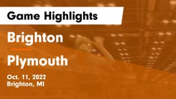 Brighton  vs Plymouth  Game Highlights - Oct. 11, 2022