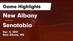 New Albany  vs Senatobia Game Highlights - Dec. 8, 2023