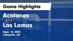 Acalanes  vs Las Lomas  Game Highlights - Sept. 14, 2023