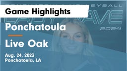 Ponchatoula  vs Live Oak  Game Highlights - Aug. 24, 2023