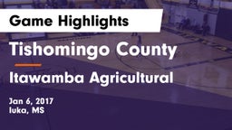 Tishomingo County  vs Itawamba Agricultural  Game Highlights - Jan 6, 2017