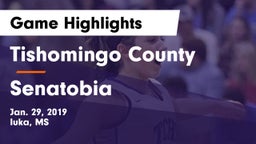 Tishomingo County  vs Senatobia Game Highlights - Jan. 29, 2019