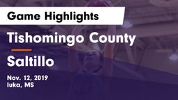 Tishomingo County  vs Saltillo  Game Highlights - Nov. 12, 2019