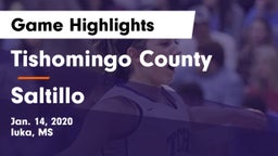 Tishomingo County  vs Saltillo  Game Highlights - Jan. 14, 2020