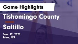Tishomingo County  vs Saltillo  Game Highlights - Jan. 12, 2021