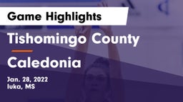 Tishomingo County  vs Caledonia  Game Highlights - Jan. 28, 2022