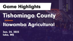 Tishomingo County  vs Itawamba Agricultural  Game Highlights - Jan. 24, 2023