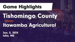 Tishomingo County  vs Itawamba Agricultural  Game Highlights - Jan. 5, 2024