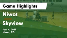 Niwot  vs Skyview  Game Highlights - Jan. 4, 2019