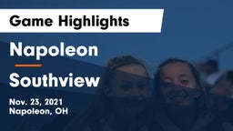 Napoleon vs Southview  Game Highlights - Nov. 23, 2021