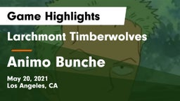 Larchmont Timberwolves vs Animo Bunche Game Highlights - May 20, 2021