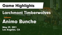 Larchmont Timberwolves vs Animo Bunche Game Highlights - May 29, 2021