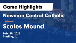 Newman Central Catholic  vs Scales Mound Game Highlights - Feb. 20, 2023