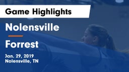 Nolensville  vs Forrest  Game Highlights - Jan. 29, 2019
