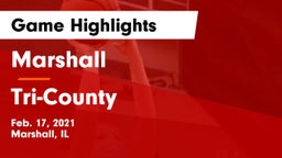 Marshall  vs Tri-County Game Highlights - Feb. 17, 2021