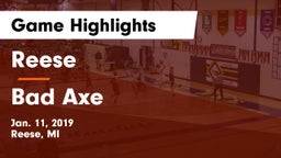 Reese  vs Bad Axe  Game Highlights - Jan. 11, 2019