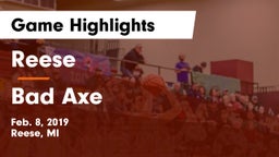 Reese  vs Bad Axe  Game Highlights - Feb. 8, 2019